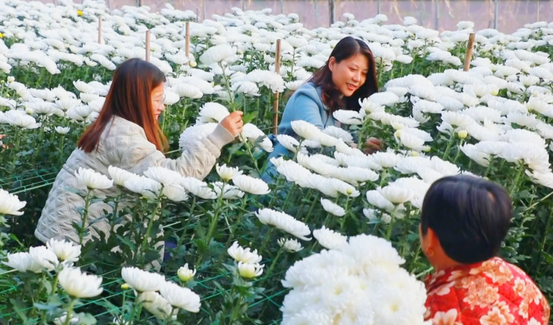 �F�ǅ^(q��)���ջ������M�ء���