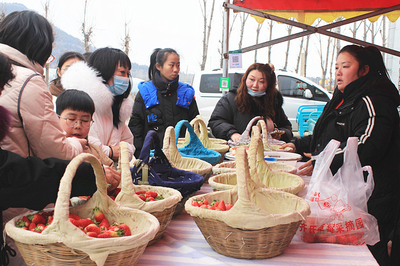 ��ݮ�h��c�´� | ���f�(zh��n)��ɽ�ڲ�ݮ��ժ��Ȥ���������w�e����ζ