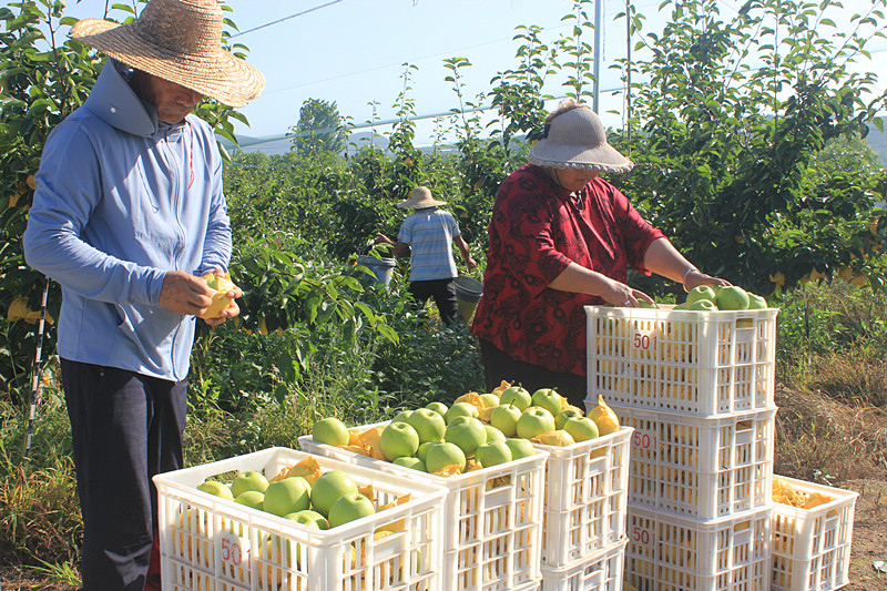 ��óԣ����Ѕ^(q��)ǰ�����@�����@������������