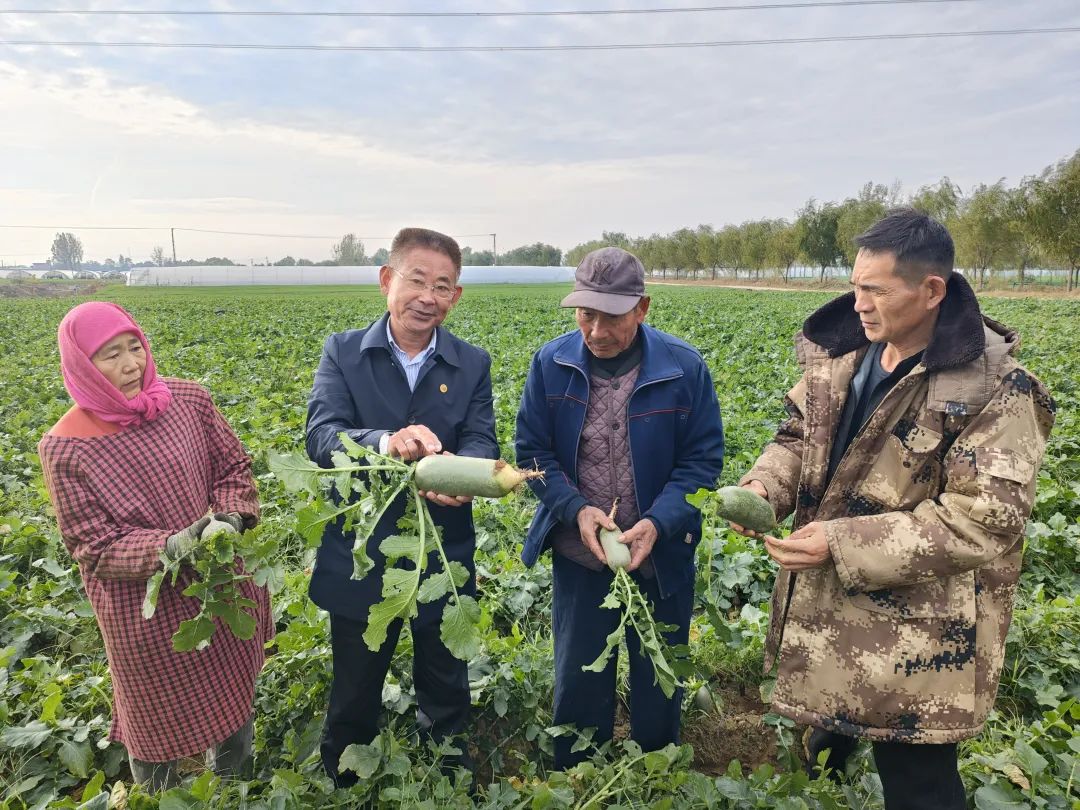 ������L�r�������f(xi��)ί�T��ֱ������ɳ�������}�����պ���ζ